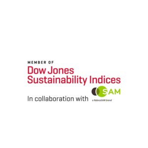 Logotyp Dow Jones Sustainability Index