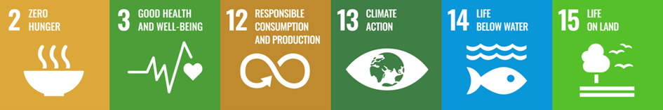 Sustainable Meals UN Goals - see below for accessible version